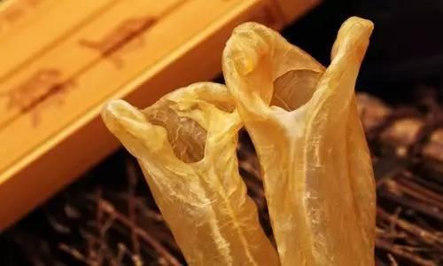 一立花胶鱼肚 2026年花胶鱼肚的功效与作用