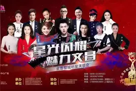 宏志音响呈献，唱响金盾椰城明星演唱会最强音图片