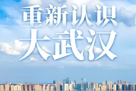 重新认识大武汉图片