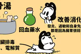 15个让狗狗健康的超级食物（狗狗暖知识）图片