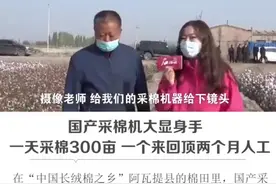 石榴快播丨国产采棉机大显身手：一天采棉300亩 一个来回顶两个月人工图片