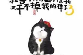 华为：我就喜欢你看我不顺眼，又干不掉我的样子图片