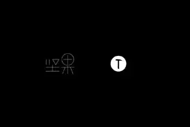 虽然小众，但还是有那骨子执着-坚果 Pro 3图片