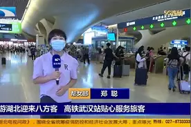 惠游湖北迎来八方客，高铁武汉站贴心服务旅客视频封面