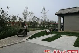 民生网事丨城市氧吧 百姓共享绿色福利图片