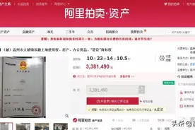 惋惜！高州曾获国际金奖的“碧臣矿泉水”破产，338万起拍卖图片