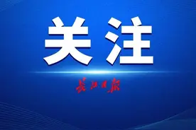 《武汉市应急项目管理办法》公布，2021年2月1日起施行图片