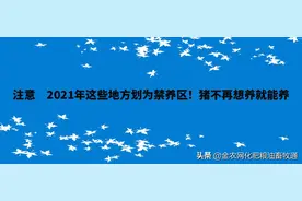 注意　2021年这些地方划为禁养区！猪不再想养就能养图片