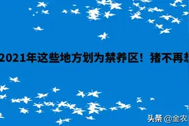 注意　2021年这些地方划为禁养区！猪不再想养就能养图片