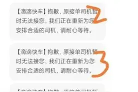 “拳师”正在影响我们的现实生活图片