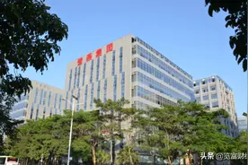 鹭燕医药：福建拥有221家直营门店，鹭燕和燕来福获著名商标图片