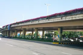 提升主干道环境秩序！番禺大道罗家高架桥桥墩容貌焕然一新图片