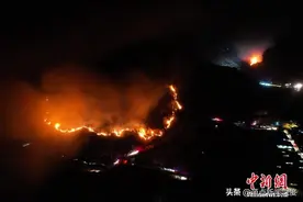 山西五台山风景区1500亩森林被烧毁，男子被控私拉电线判5年半上诉后发回重审，律师怀疑烟头引发征鉴定专家图片