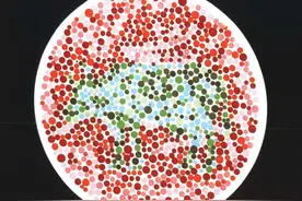 想要考驾照的注意了，第1张色觉测试图，到底是牛还是鹿？图片