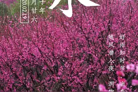雨水好雨知时节 当春乃发生随风潜入夜润物细无声图片