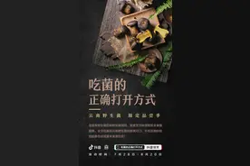 一年一度野生菌季上抖音——看吃菌的正确打开方式图片