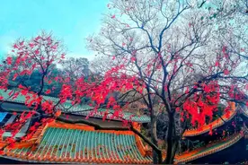 广东江门旅游景点介绍，江门旅游推荐五个地方，江门好玩地方介绍图片