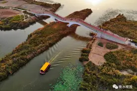 18日起衡水湖景区对外开放！医护工作者将免票游玩图片