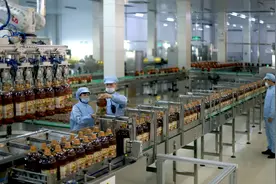 九三集团：擎起中国大豆产业高质量发展大旗图片
