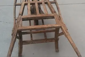 牛桂英的原生家庭图片