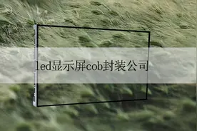 LED显示屏COB封装公司图片