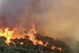 埃及蝎子泛滥、伊朗地震、沙特雷雨，一系列极端天气席卷中东图片