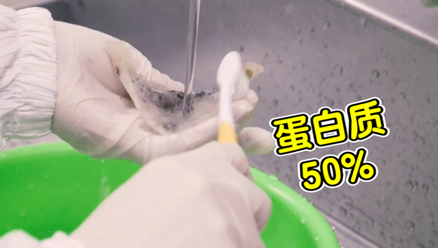 燕窝是怎么形成的图片 2026年燕窝是怎么形成的过程