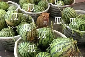 红极一时却自毁前途，整容，当小三。与小五金恩圣相恋！图片