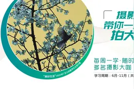 【摄影公社】风光摄影的意境表达图片