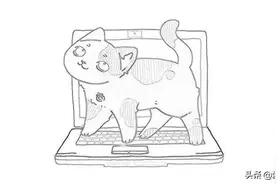 贱猫图鉴：猫咪迷惑行为大赏图片