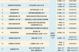 2020年合肥市市区民办义务教育学校补录报名将于7月23日开始图片