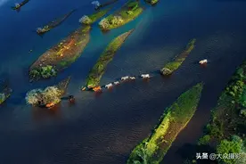 重塑光影｜后期创作的利器图片