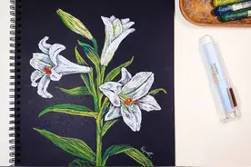 用这么粗糙的油画棒画出超级棒的细节，你这技术也是没谁了图片