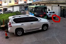 揪心！3岁幼童被车辆碾压身亡，肇事司机被刑拘图片