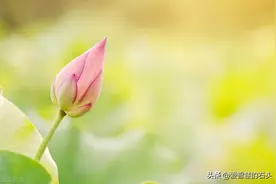 忘恩负义之人，往往都有这三个特点，不必帮忙图片