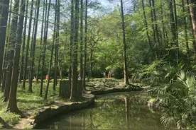 四月是你的谎言图片