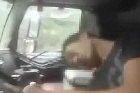云南高速上一货车司机遭马蜂袭击，昏迷不醒，高速遇到马蜂怎么办图片
