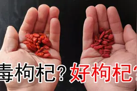 有毒的硫磺枸杞不能要，5招辨别妙招要牢记，请分享给家人和朋友图片