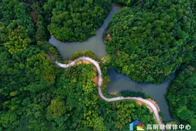 骄傲！佛山这个公园，正式晋升“国家级”！图片