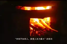 生多生少？人类和动物都进化出了最优的生育策略图片