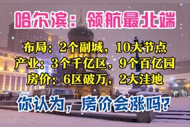 哈尔滨2035：人口1180万，3大辐射圈，1主2副10节点，6区房价过万图片