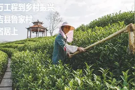 现在的浙江农村与千万工程实施前相比：翻天覆地的变化视频封面