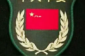 中国人民解放军历年来臂章系列之15式臂章(图)图片