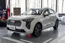 便宜省油，全新外观，国产紧凑型SUV，实拍哈弗初恋图片