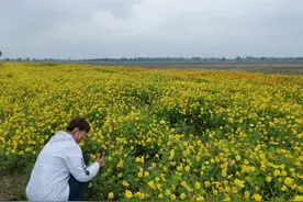 水边天路带你畅游85公里美景！石家庄滹沱河生态修复二期工程“十一”开放图片