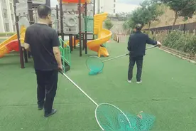 敦化坊派出所“我为群众办实事”之开展集中抓捕流浪犬整治行动图片