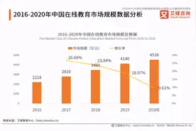 233网校竞品分析报告图片