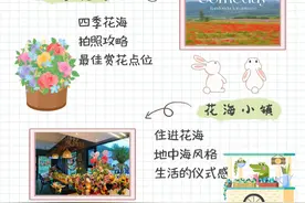 建议转发收藏｜花海最强网红攻略来袭～图片