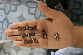 气枪打鸟，小时候最喜欢玩的打猎游戏，现在想起来觉得非常惭愧图片