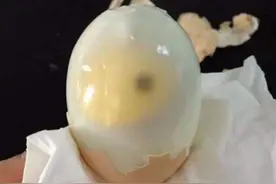 煮熟的鸡蛋上带有一个“小黑点”，能吃吗？弄清黑点在哪里最关键图片